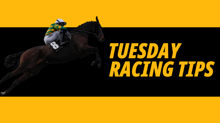 Tuesday Racing Tips: Key Timeform data including a top-rated Horse In Focus